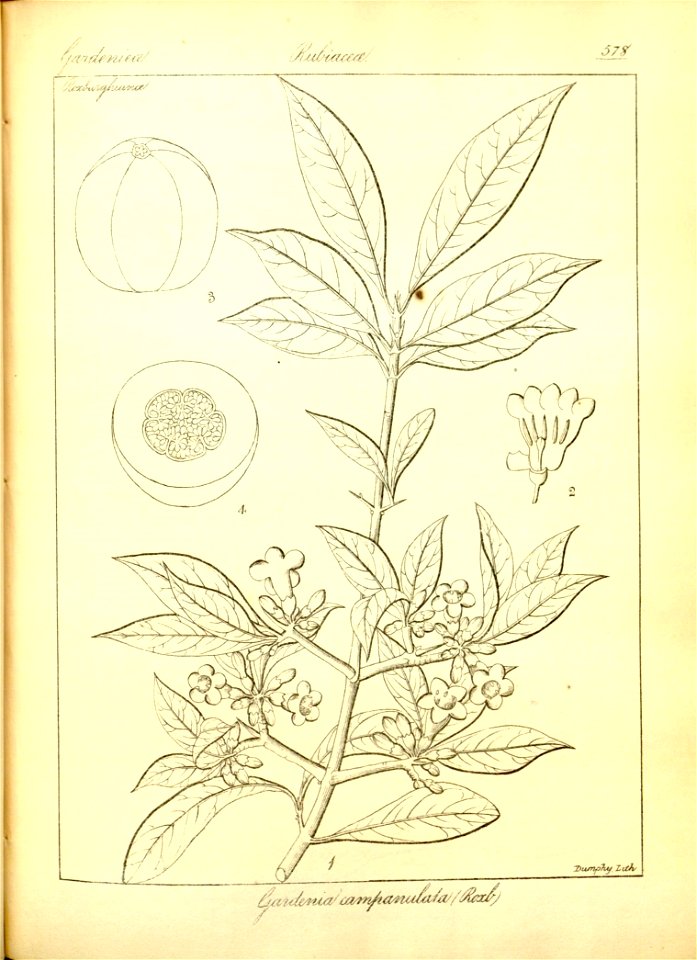 n304_w1150