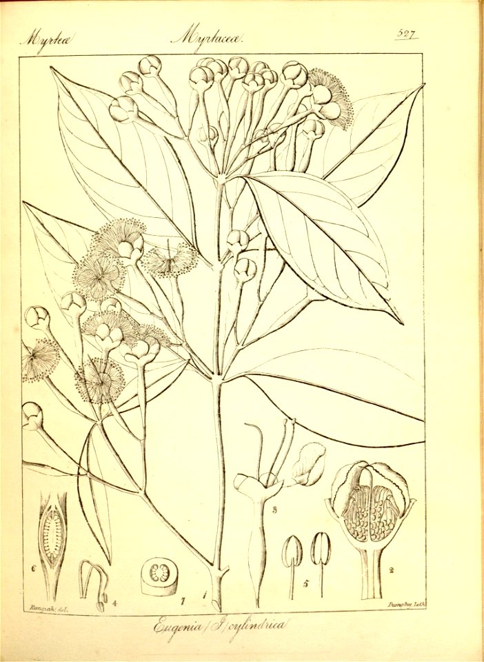 n253_w1150