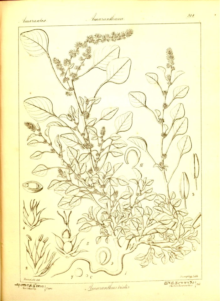 n240_w1150
