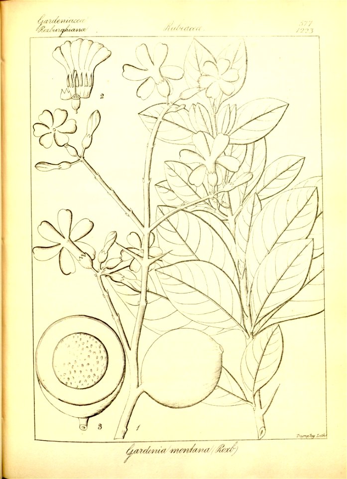 n303_w1150
