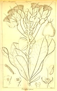 n273_w1150
