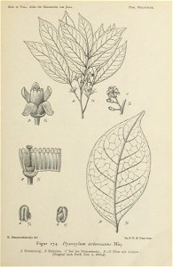 n392_w1150