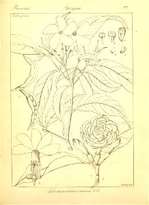 n203_w1150