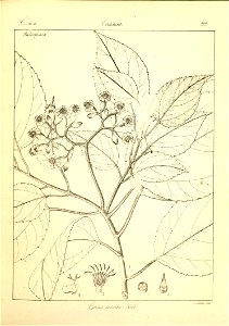 n195_w1150
