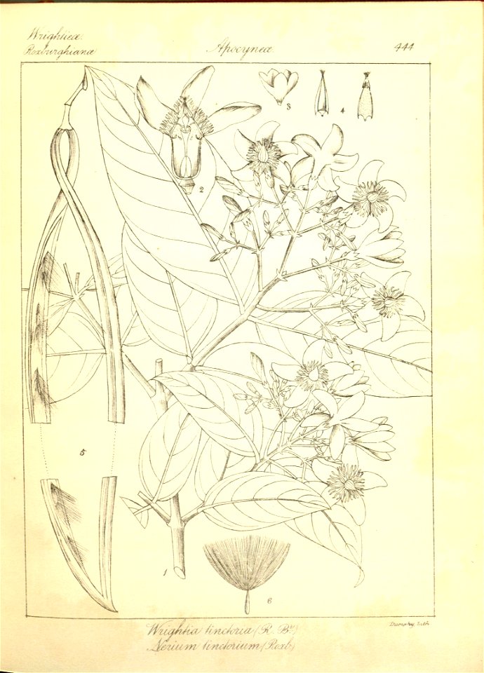 n170_w1150