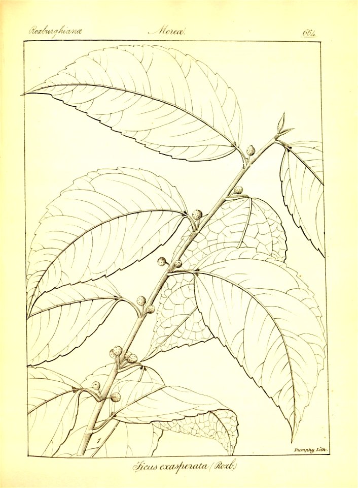 n390_w1150