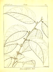 n390_w1150