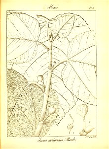 n360_w1150