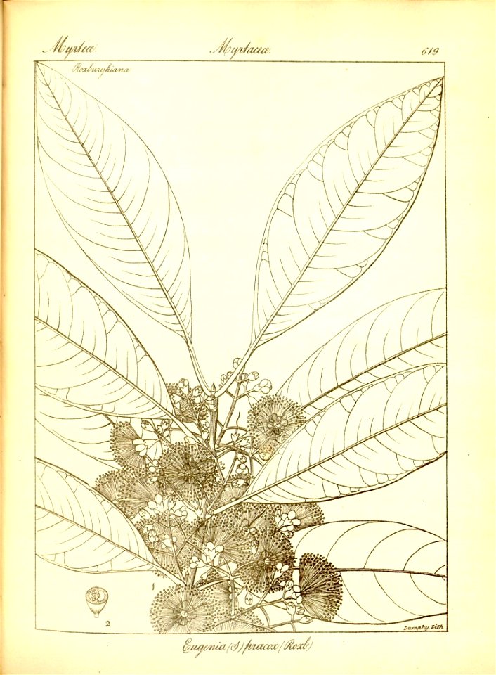 n345_w1150