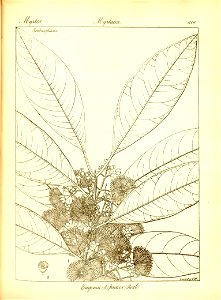n345_w1150