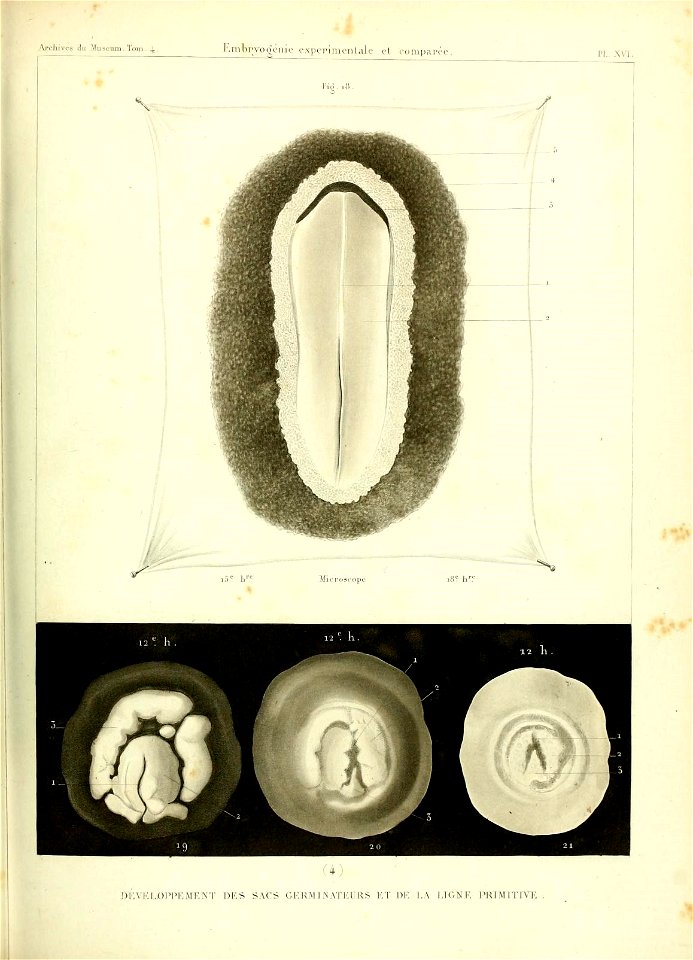 n462_w1150