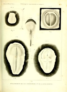 n460_w1150