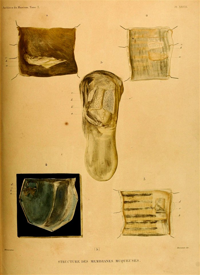 n692_w1150