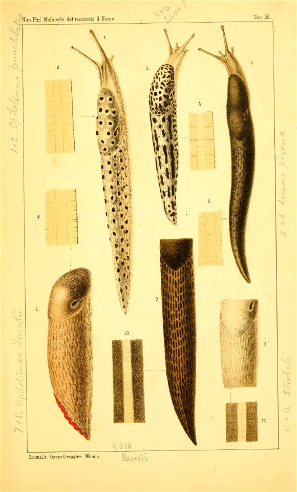 n154_w1150