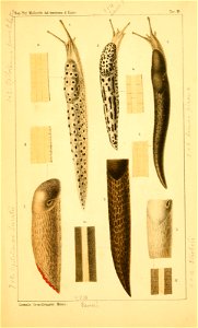n154_w1150