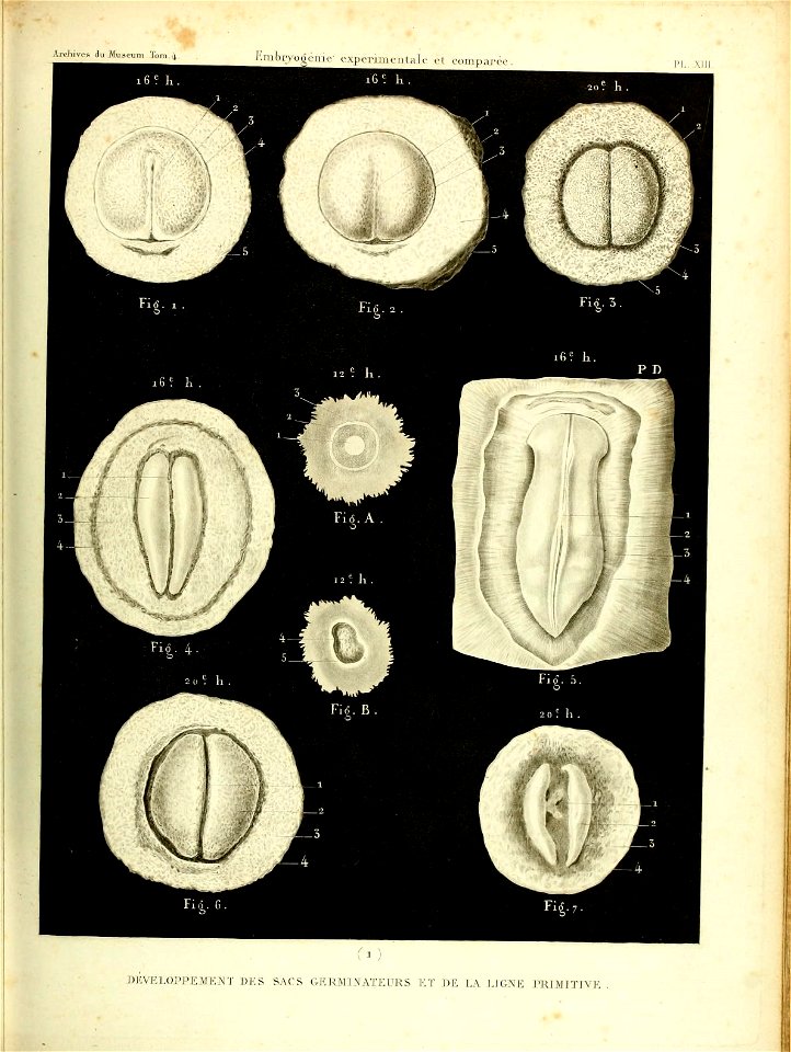 n456_w1150