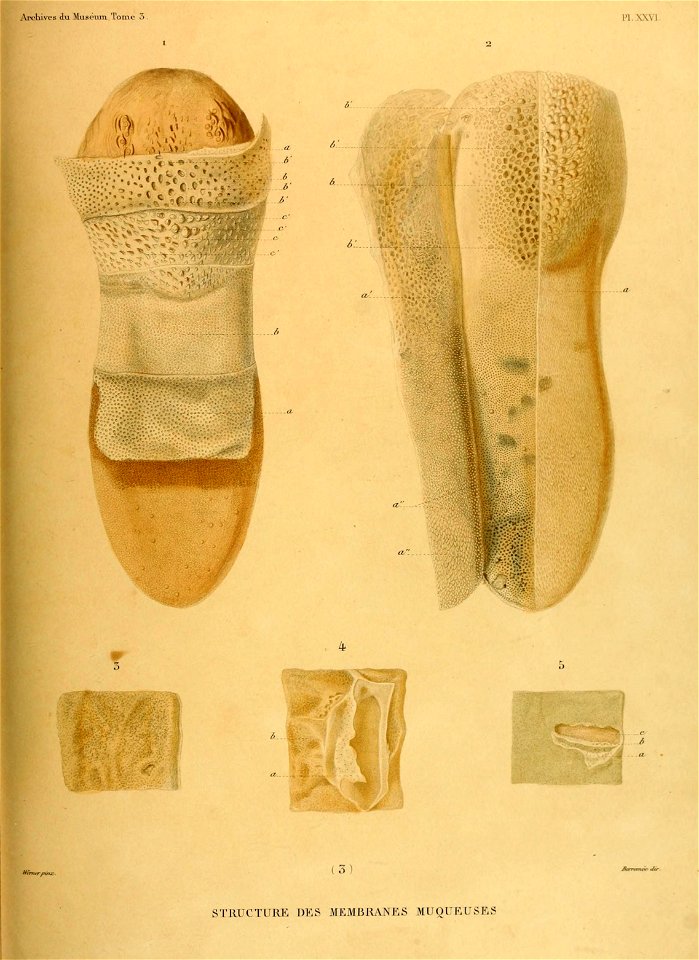 n688_w1150