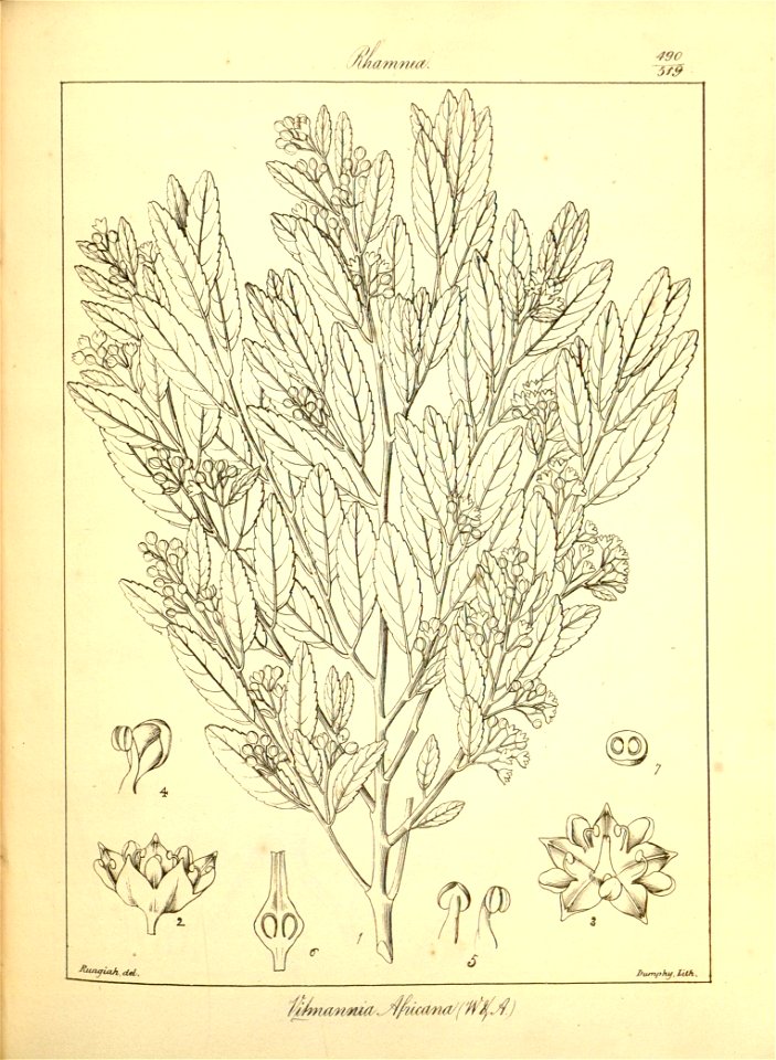 n216_w1150