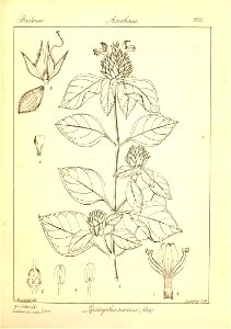 n183_w1150