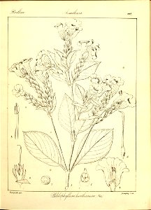 n174_w1150