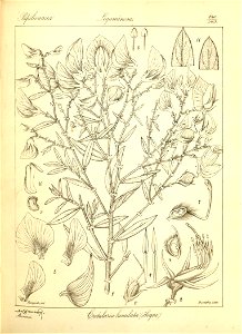 n206_w1150
