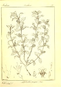 n182_w1150
