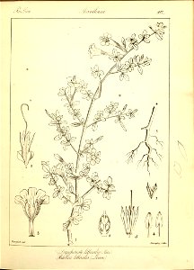 n173_w1150