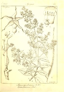 n156_w1150