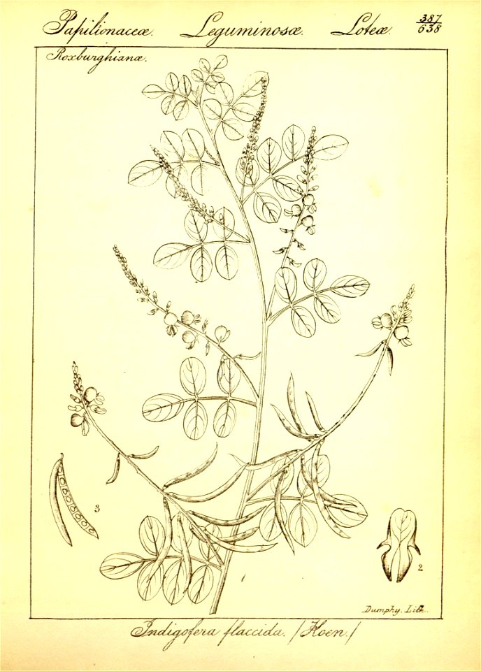 n113_w1150