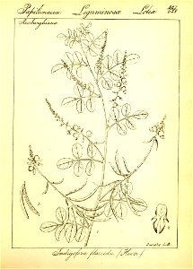 n113_w1150