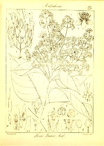 n107_w1150