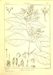 n189_w1150