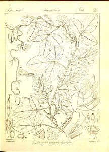 n171_w1150