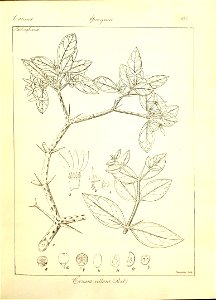 n163_w1150