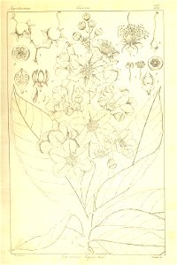 n139_w1150