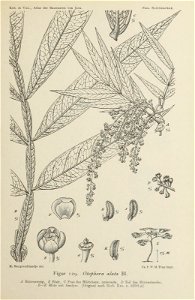 n296_w1150