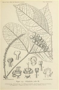n308_w1150