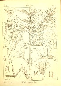 n179_w1150