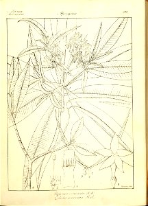 n162_w1150