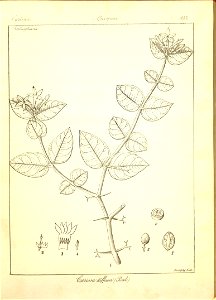 n153_w1150