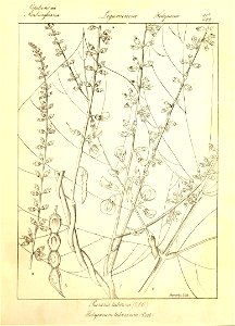 n138_w1150
