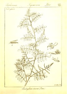n130_w1150