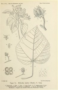 n196_w1150