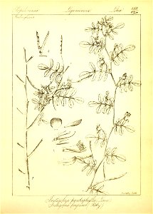 n111_w1150