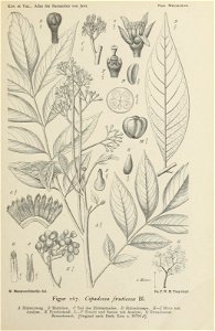 n378_w1150