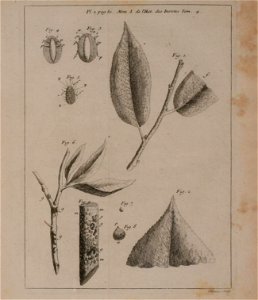 n128_w1150
