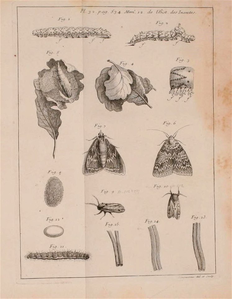 n674_w1150