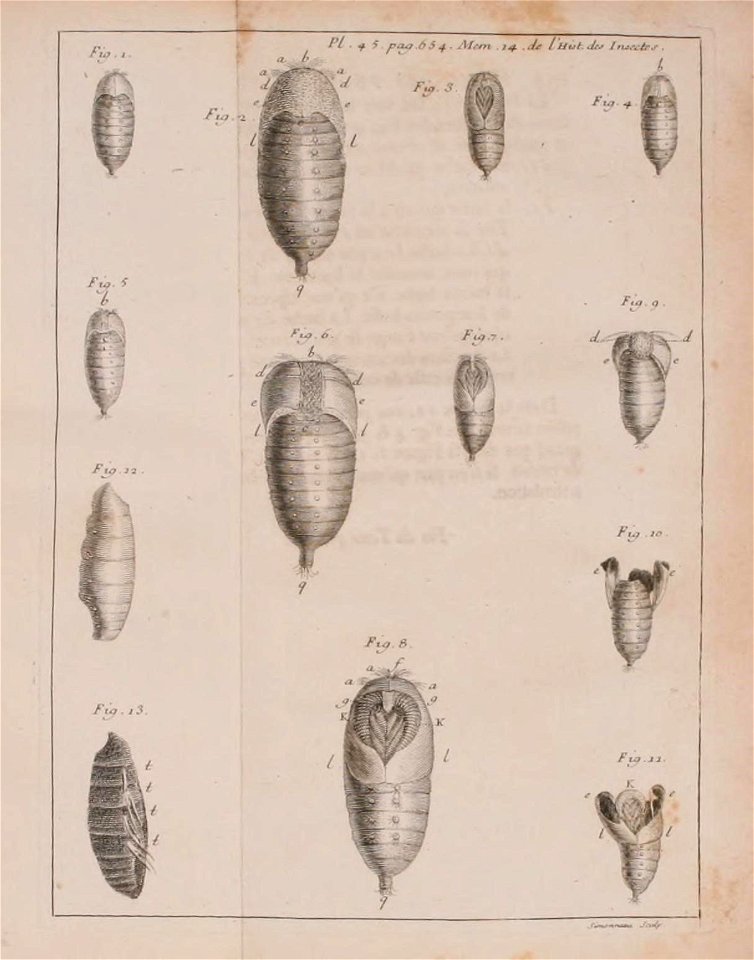 n846_w1150