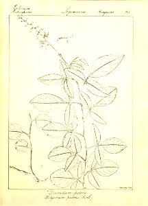 n133_w1150