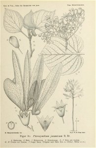 n192_w1150